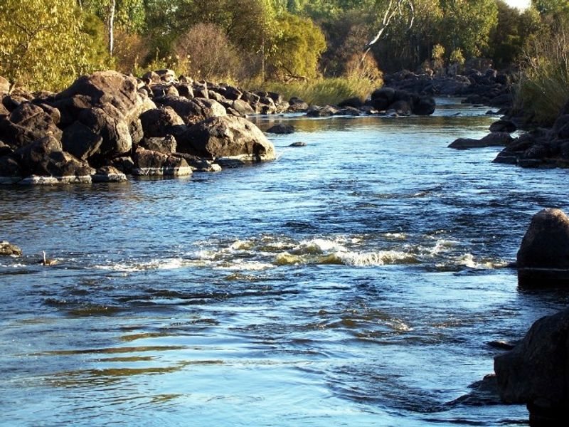A scenic view of a flowing river with rocky banks and natural vegetation.