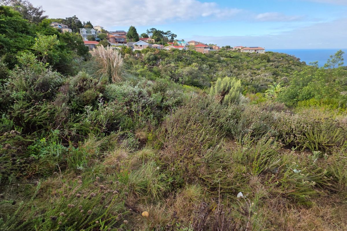 A view of the sloped, undeveloped residential land featuring natural coastal vegetation and distant ocean views.