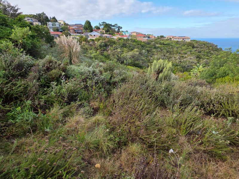 A view of the sloped, undeveloped residential land featuring natural coastal vegetation and distant ocean views.
