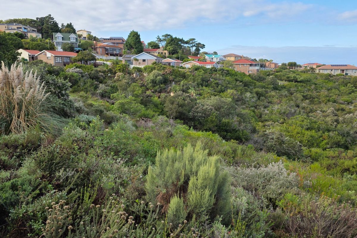 A scenic view of a sloping residential plot covered in dense native coastal vegetation with established homes visible in the background.