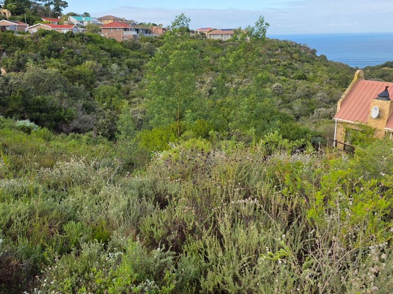 A scenic view of the coastal landscape featuring sloped terrain with native vegetation and distant ocean views.