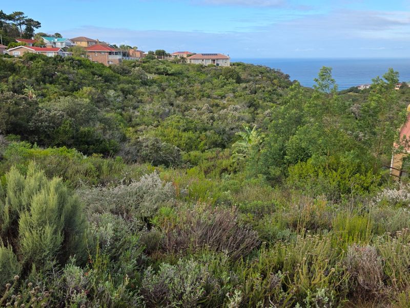 A scenic view overlooking a lush, vegetated hillside with residential properties in the distance and a clear ocean horizon.