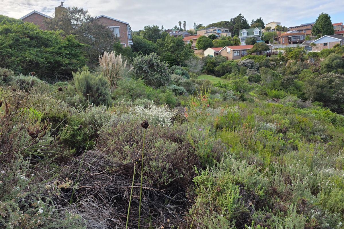 A view of a sloped residential plot featuring natural indigenous vegetation and surrounding neighborhood homes.