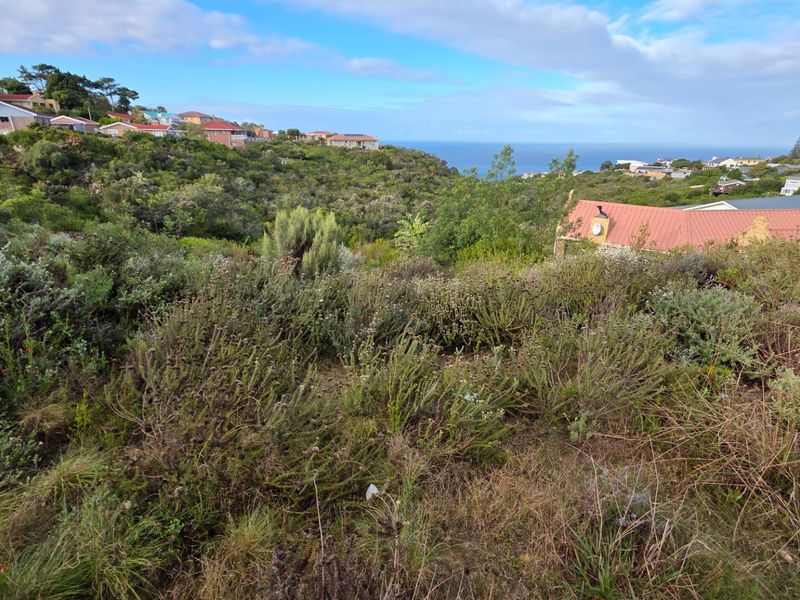 A scenic elevated view overlooking natural coastal vegetation with distant ocean vistas and surrounding residential hillside properties.