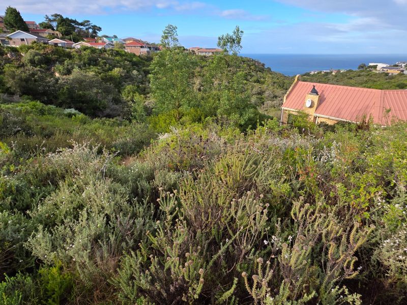 A scenic view overlooking a coastal landscape with native vegetation and distant residential properties.