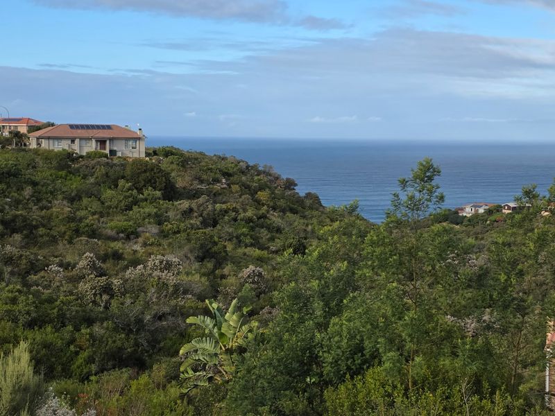 A scenic elevated view overlooking dense coastal vegetation with the ocean in the background.