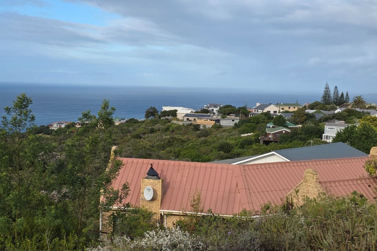 Elevated coastal view overlooking the surrounding residential neighbourhood and the ocean horizon.