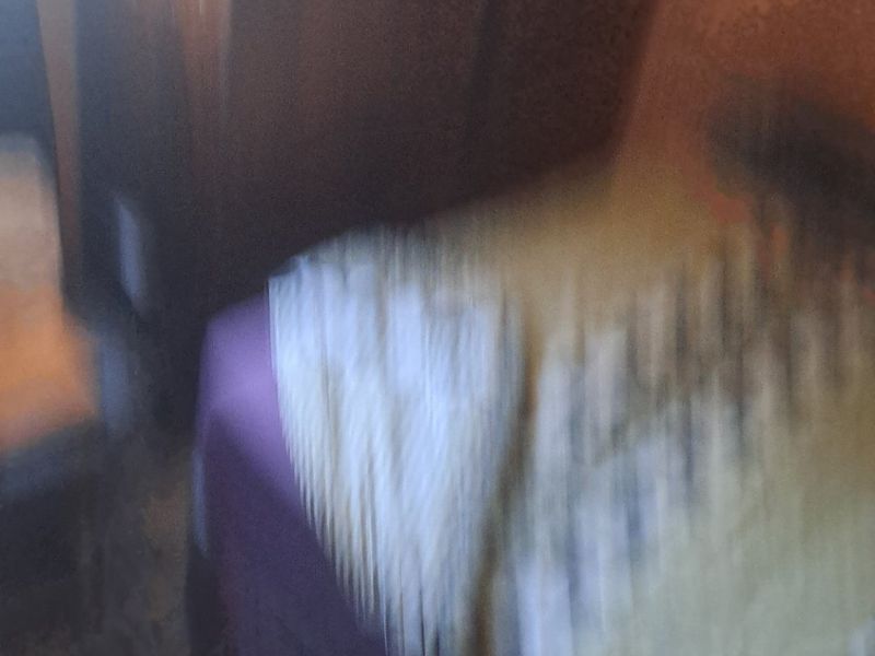 2 bedroom house Brooklyn ysterplaat - Photo 6