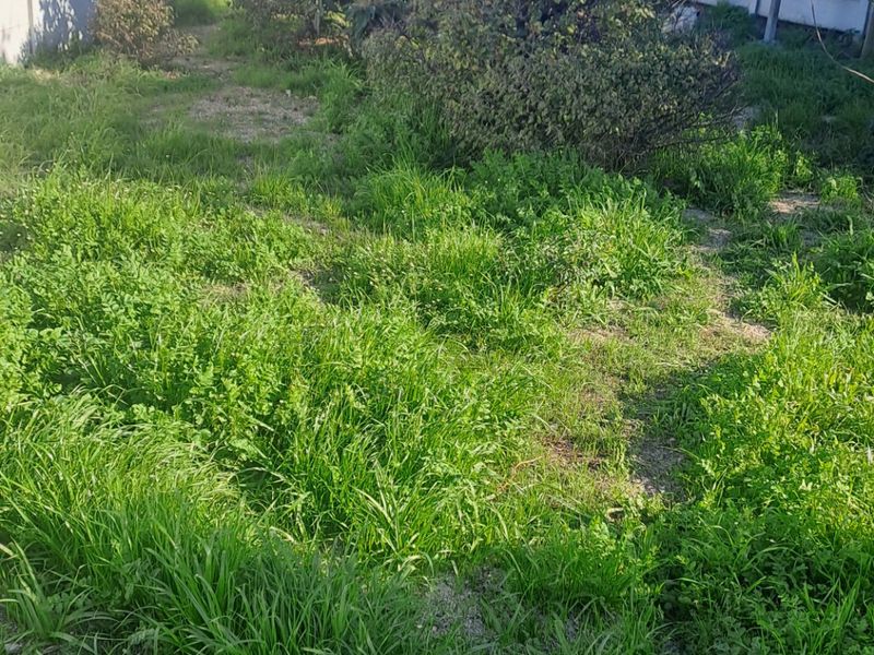 2 bedroom house Brooklyn ysterplaat - Photo 3