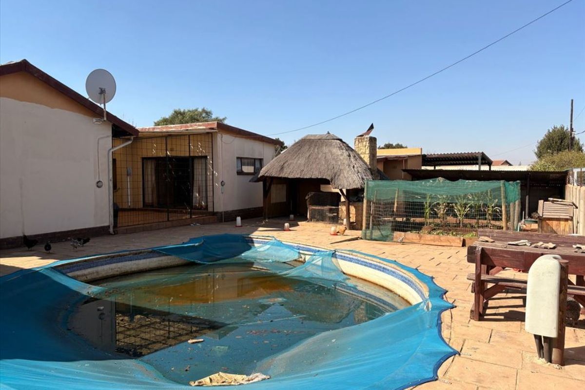 Outdoor pool area featuring a paved patio, a thatched lapa, and a swimming pool requiring maintenance and cleaning.