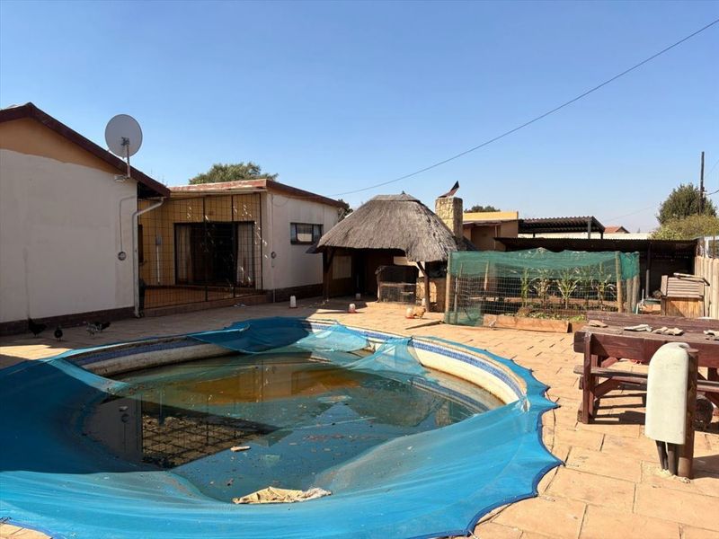 Outdoor pool area featuring a paved patio, a thatched lapa, and a swimming pool requiring maintenance and cleaning.