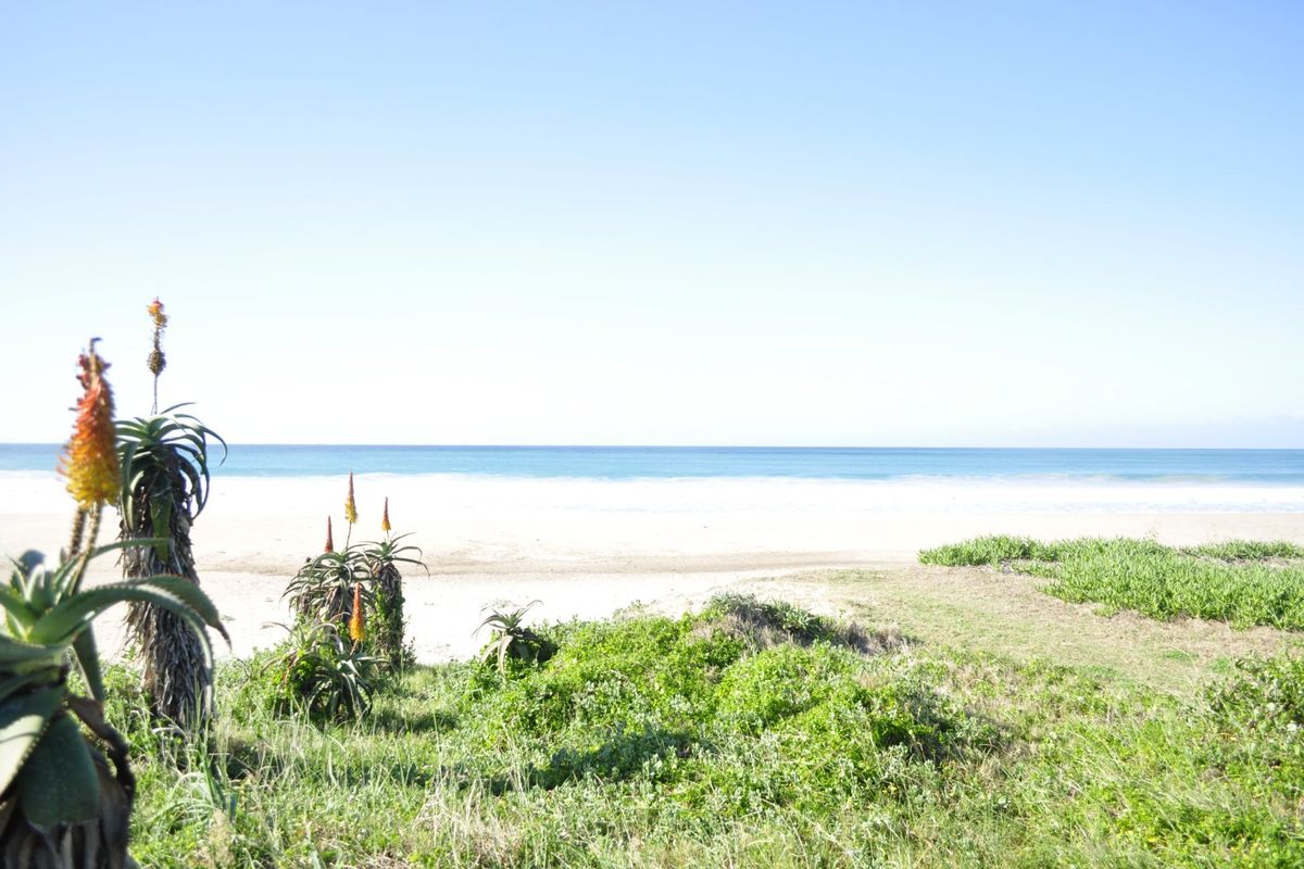 Stunning Beachside Apartment – Prime Investment Opportunity in Jeffreys Bay - Photo 5