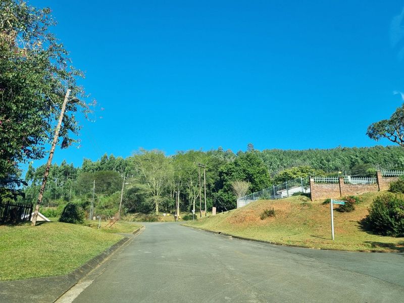 A clear street view of a residential area featuring paved roads, established landscaping, and perimeter boundary walls.