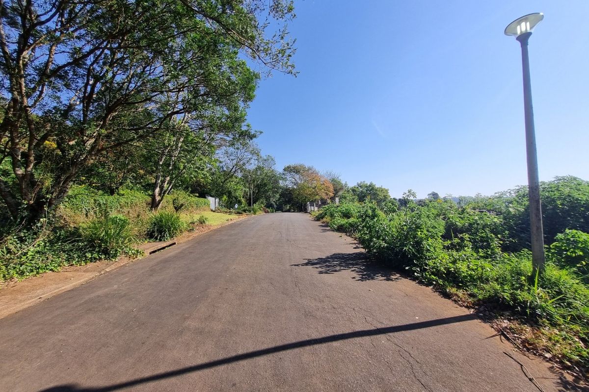 A view of the paved residential street featuring mature trees, established greenery, and a street light, providing access to the vacant land property.
