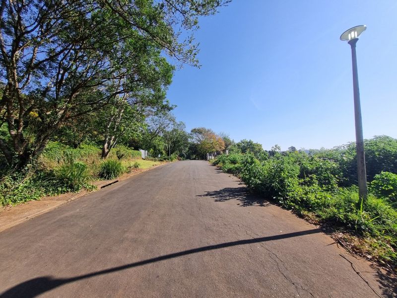 A view of the paved residential street featuring mature trees, established greenery, and a street light, providing access to the vacant land property.