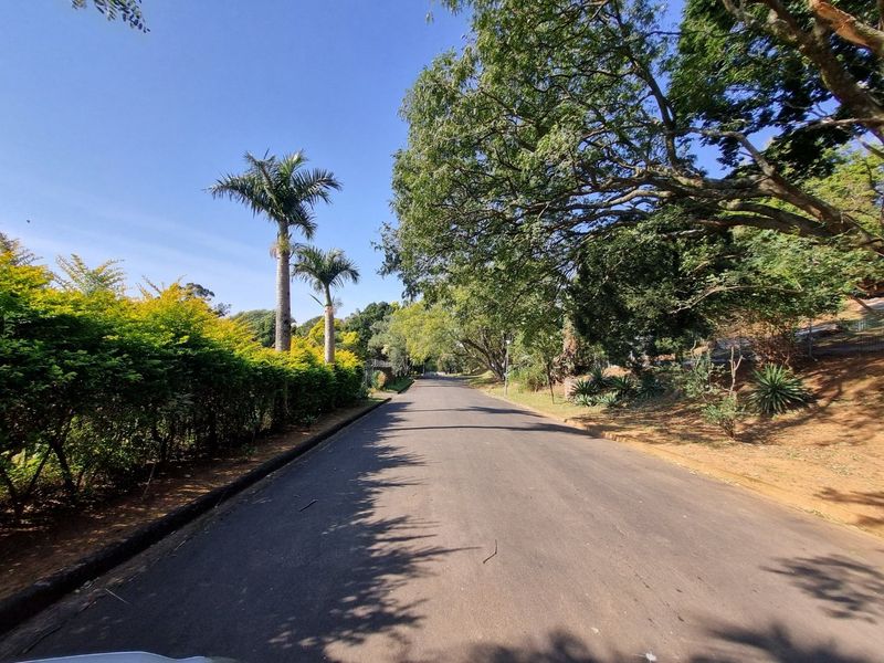A view of a paved residential street lined with mature trees and established landscaping, showcasing the approach to the property.