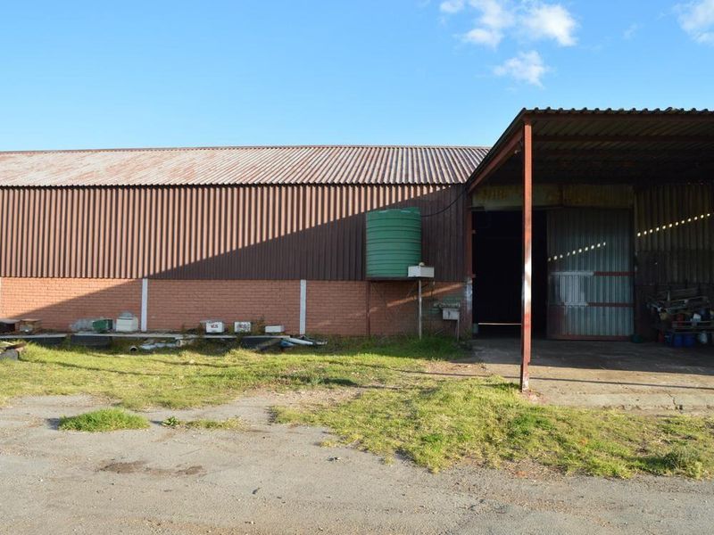 Great farm with plenty of water. - Photo 10