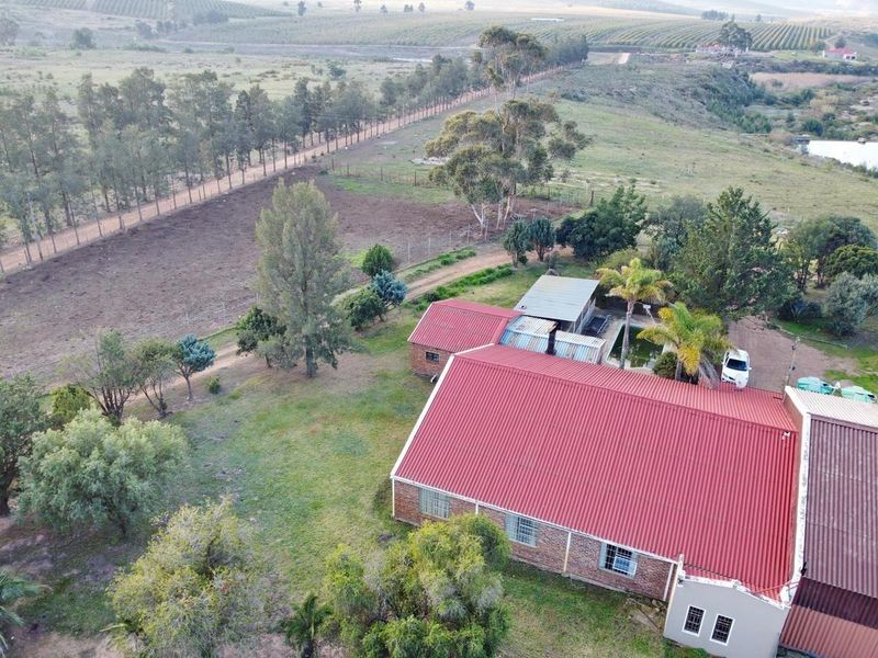 Great farm with plenty of water. - Photo 6