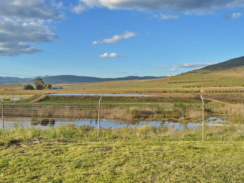 Great farm with plenty of water. - Photo 7