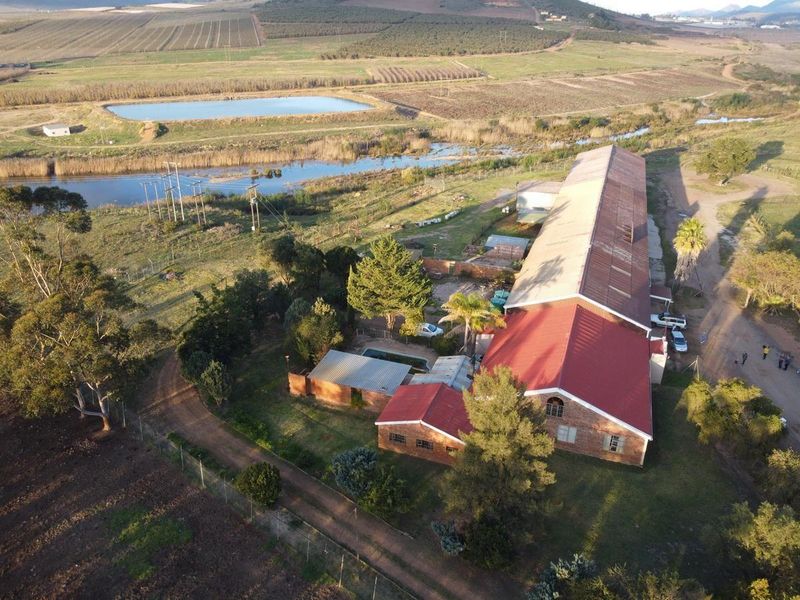 Great farm with plenty of water. - Photo 1