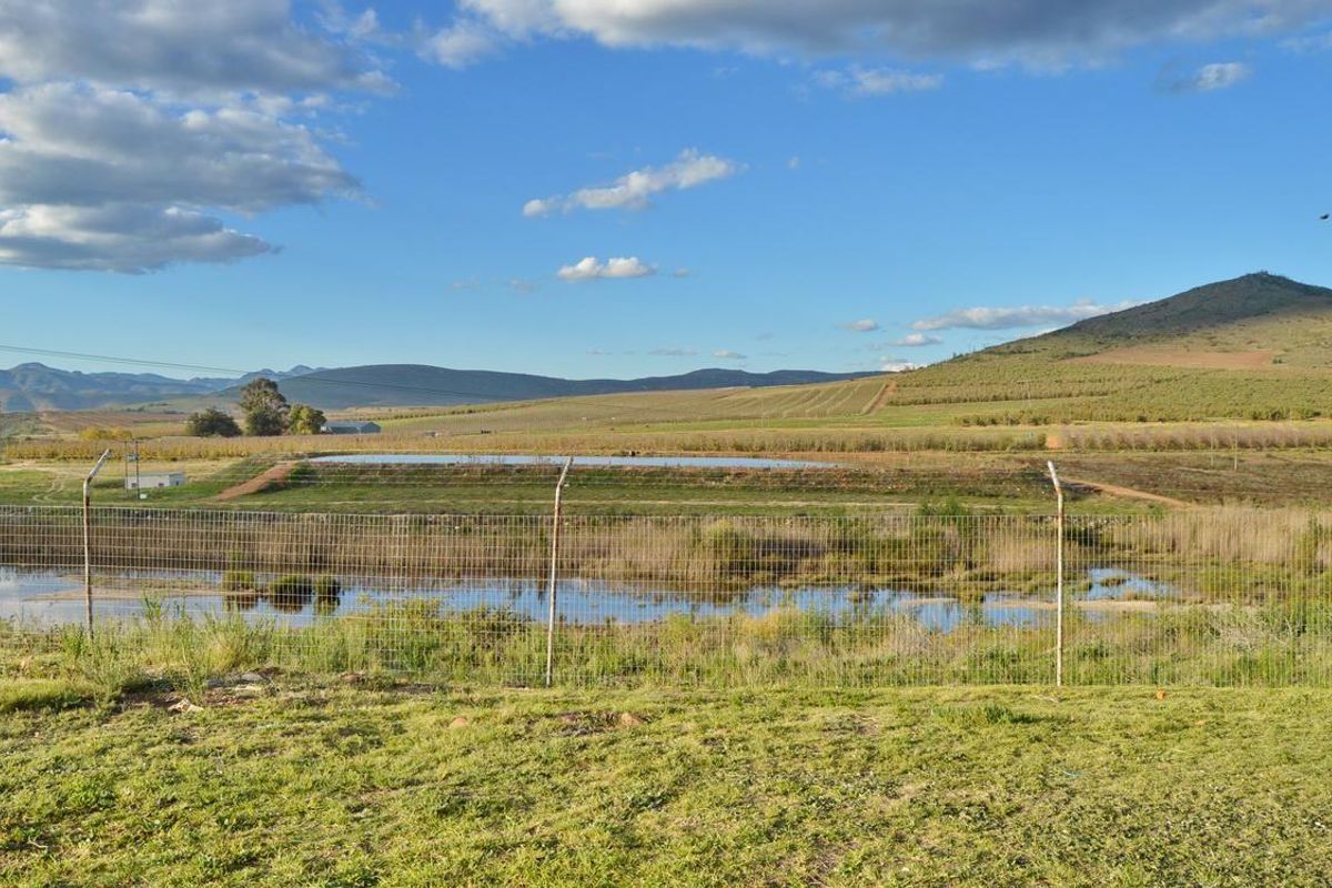 A scenic view of the farm landscape featuring a dam, irrigation pond, and surrounding agricultural fields under a clear blue sky.