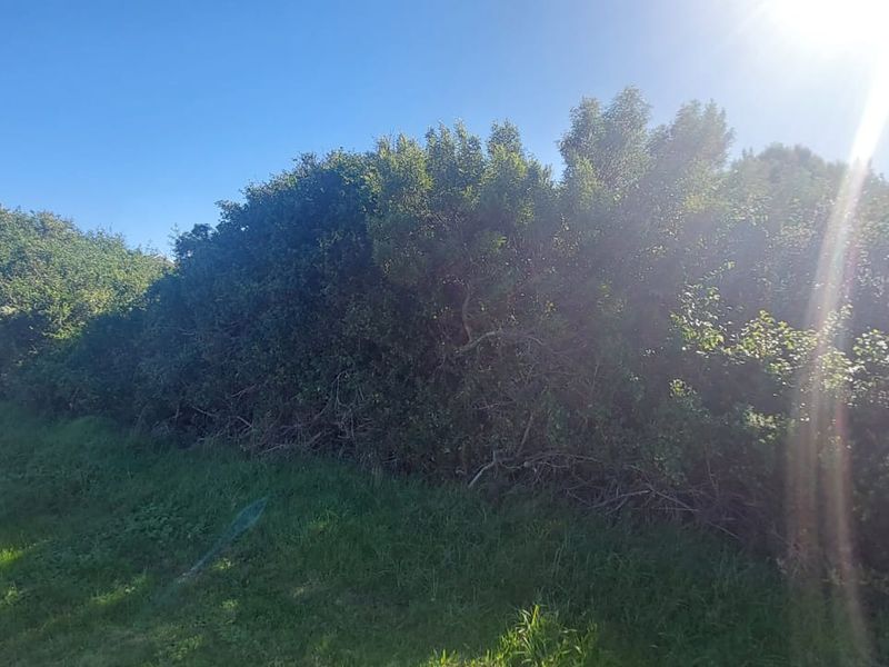 Vacant Land for Sale – St Francis Bay, Jeffreys Bay | 625m2 of Coastal Potential! - Photo 6