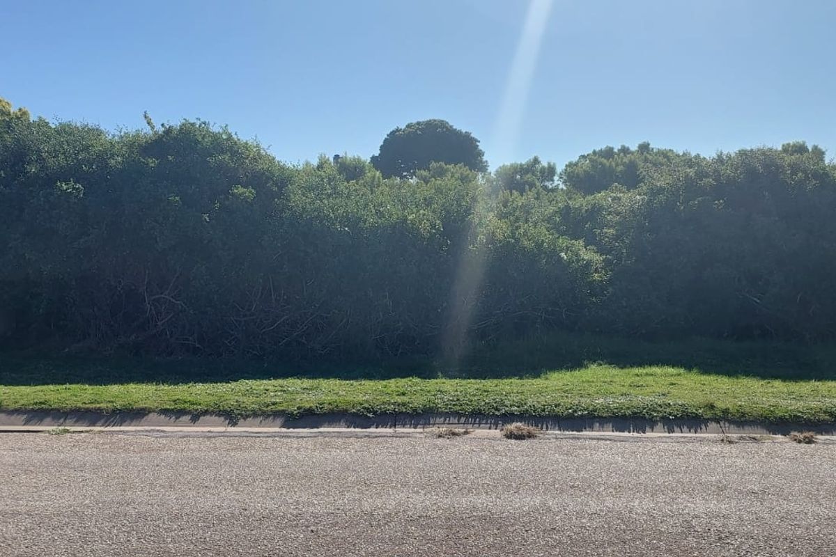 Vacant Land for Sale – St Francis Bay, Jeffreys Bay | 625m2 of Coastal Potential! - Photo 5