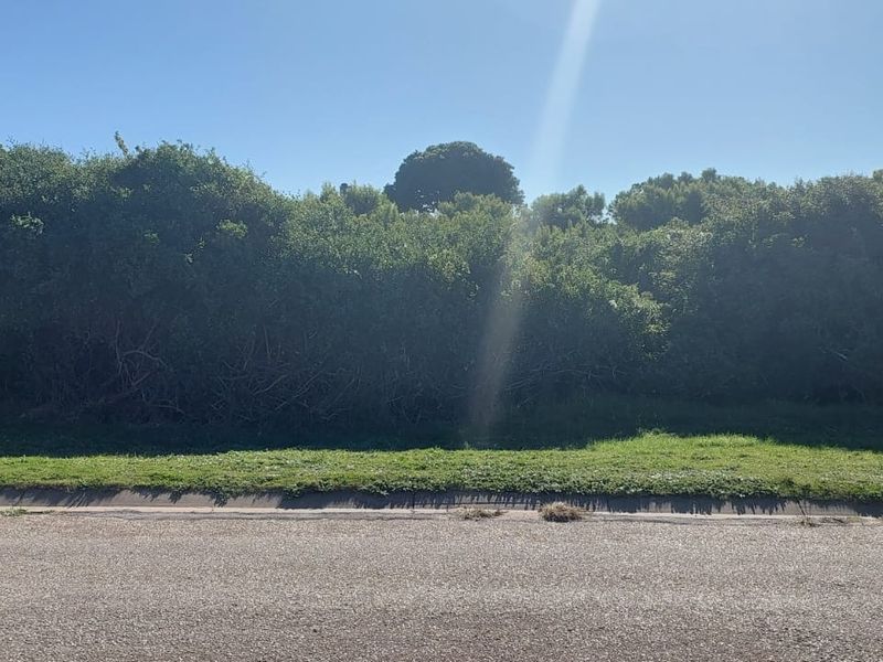 Vacant Land for Sale – St Francis Bay, Jeffreys Bay | 625m2 of Coastal Potential! - Photo 5