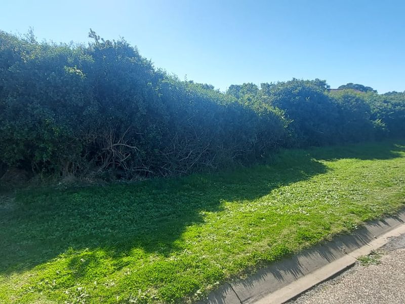 Vacant Land for Sale – St Francis Bay, Jeffreys Bay | 625m2 of Coastal Potential! - Photo 2
