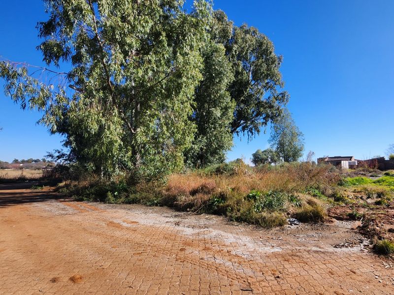 Vacant Plot – A Blank Canvas Full of Possibilities - Photo 7