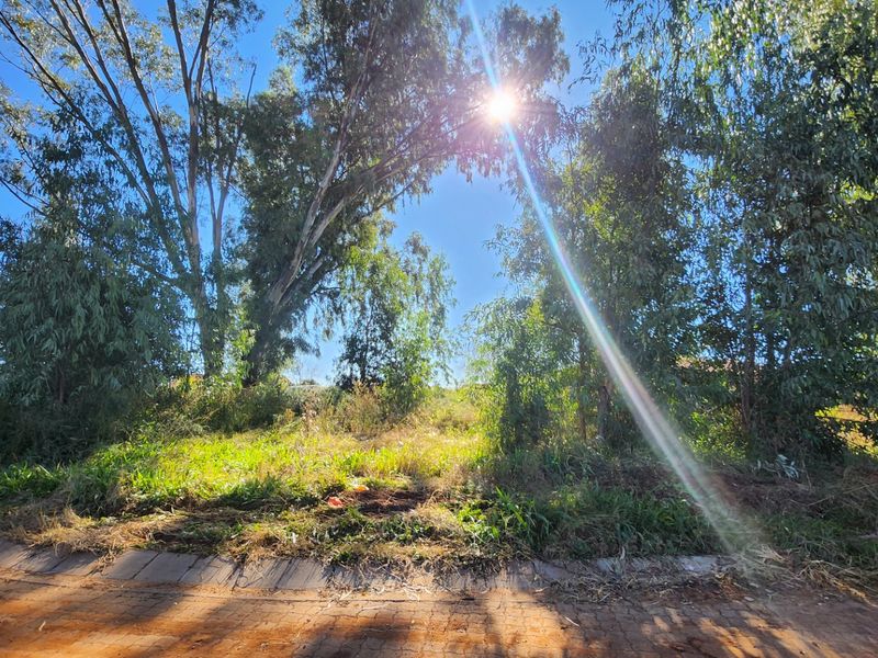 Vacant Plot – A Blank Canvas Full of Possibilities - Photo 6