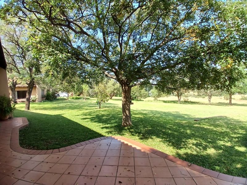 A spacious, well-maintained garden area featuring a tiled patio and large mature trees, offering a peaceful outdoor setting on the farm property.