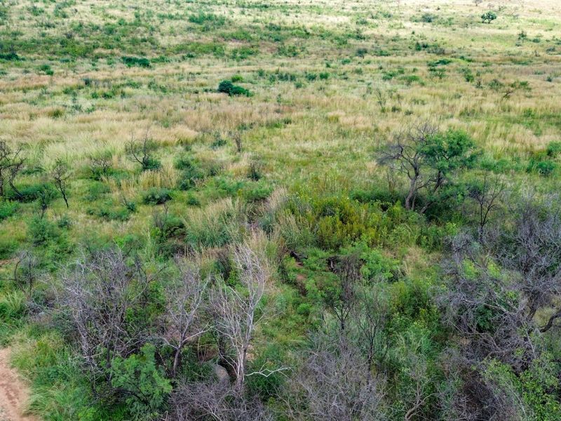Beautiful 21 Hectare Viewsite in the Crocodile Reserve - Photo 1