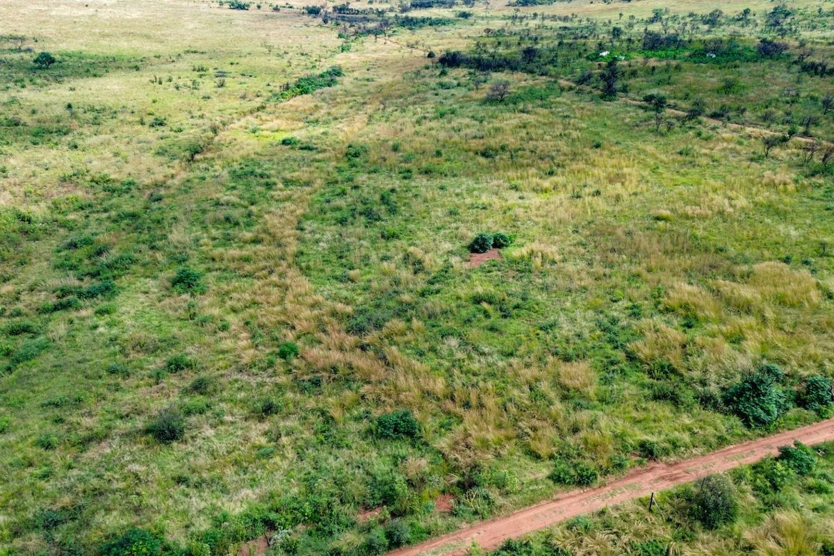 Beautiful 21 Hectare Viewsite in the Crocodile Reserve - Photo 4
