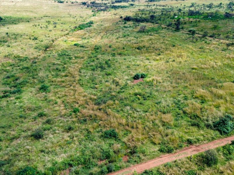 Beautiful 21 Hectare Viewsite in the Crocodile Reserve - Photo 4