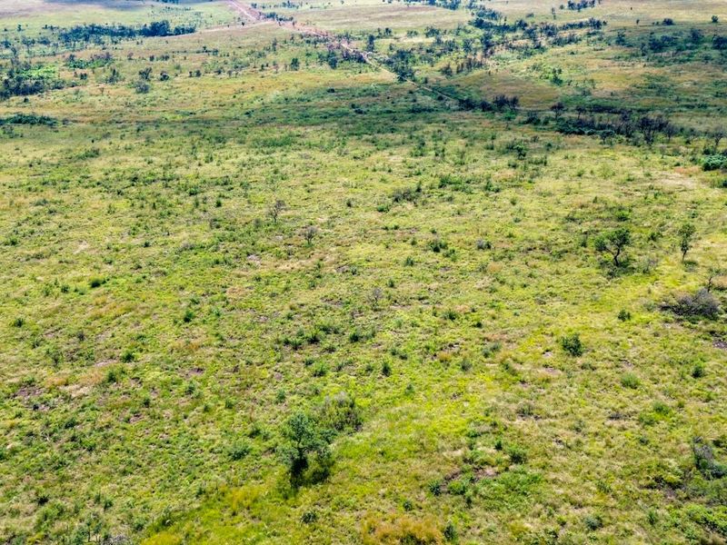Beautiful 21 Hectare Viewsite in the Crocodile Reserve - Photo 10