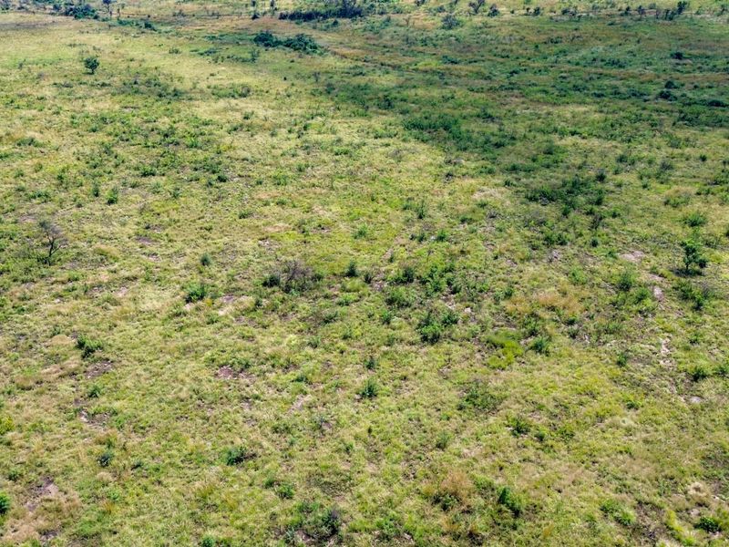 Beautiful 21 Hectare Viewsite in the Crocodile Reserve - Photo 8