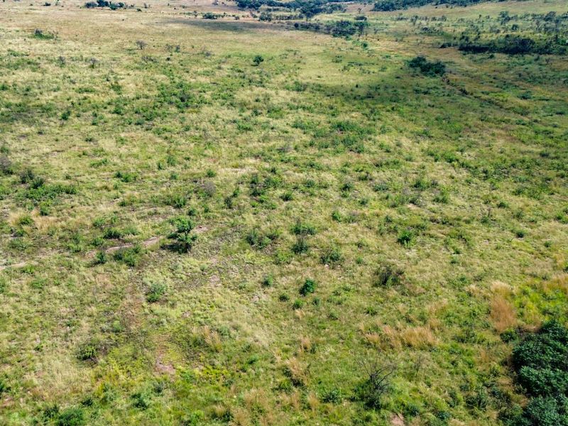 Beautiful 21 Hectare Viewsite in the Crocodile Reserve - Photo 6
