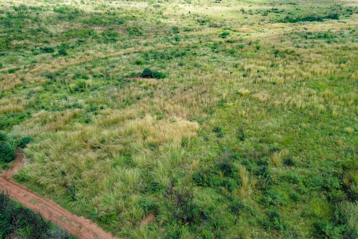 Beautiful 21 Hectare Viewsite in the Crocodile Reserve - Photo 2