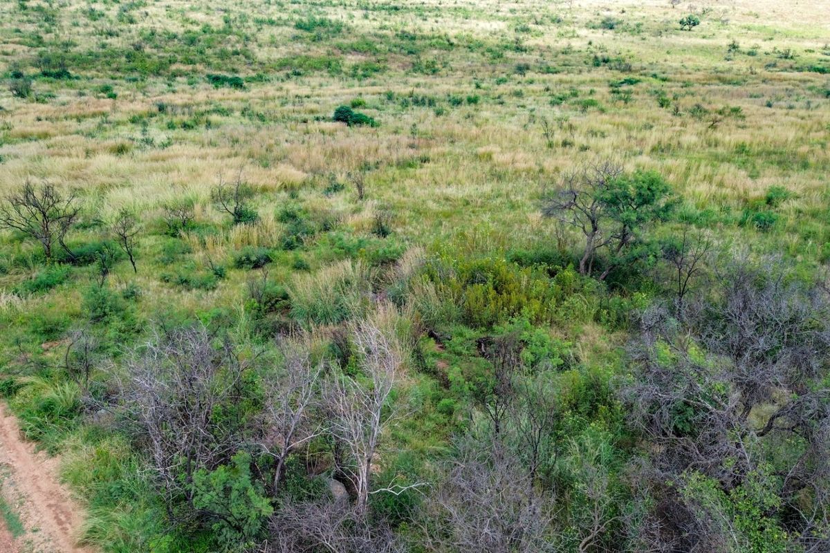An aerial view of the expansive farm landscape featuring natural vegetation and a dirt access track.
