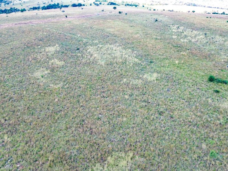 Glorious North-Facing Viewsite - 21 Hectares in the Crocodile Nature Reserve - Photo 7