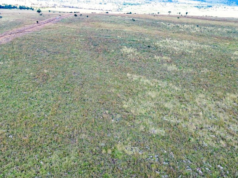 Glorious North-Facing Viewsite - 21 Hectares in the Crocodile Nature Reserve - Photo 10