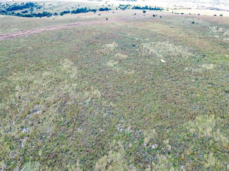 Glorious North-Facing Viewsite - 21 Hectares in the Crocodile Nature Reserve - Photo 8