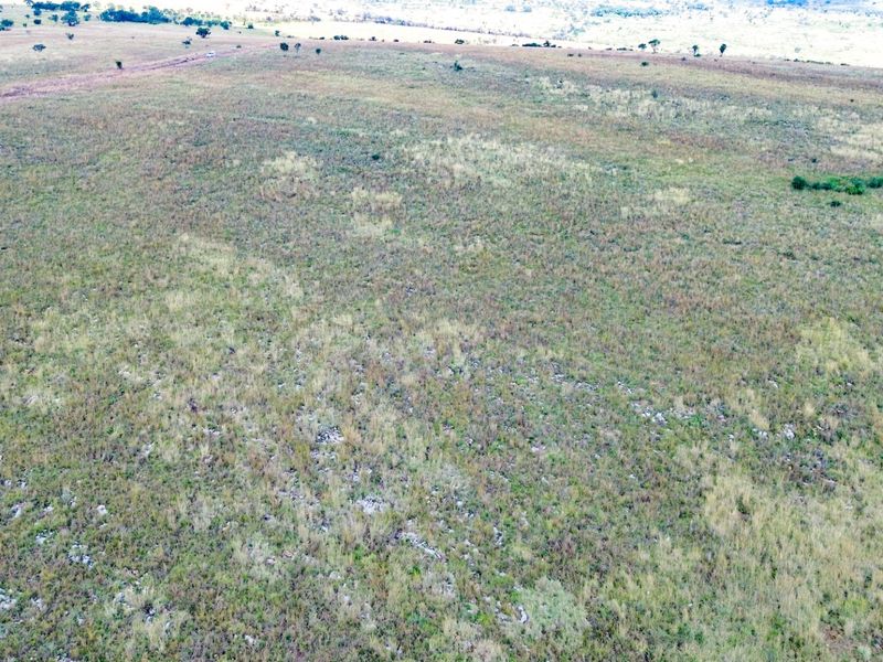 Glorious North-Facing Viewsite - 21 Hectares in the Crocodile Nature Reserve - Photo 9