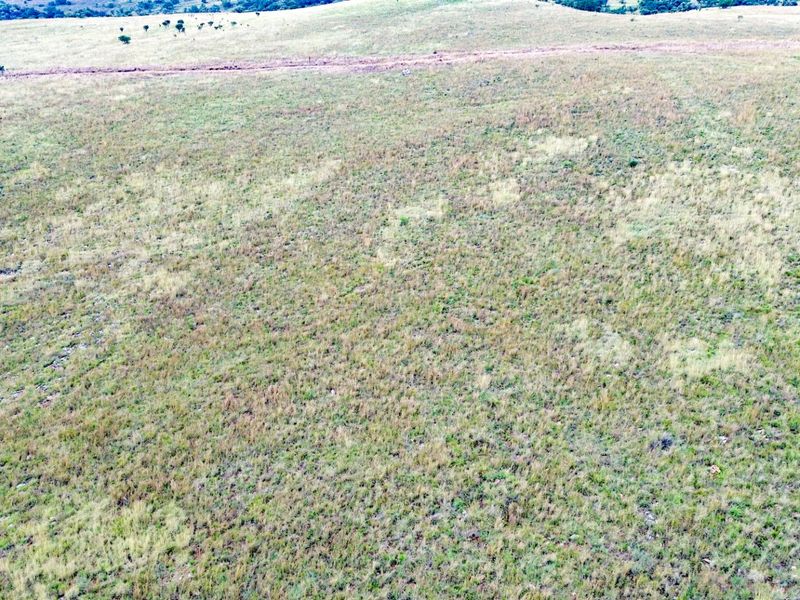 Glorious North-Facing Viewsite - 21 Hectares in the Crocodile Nature Reserve - Photo 6