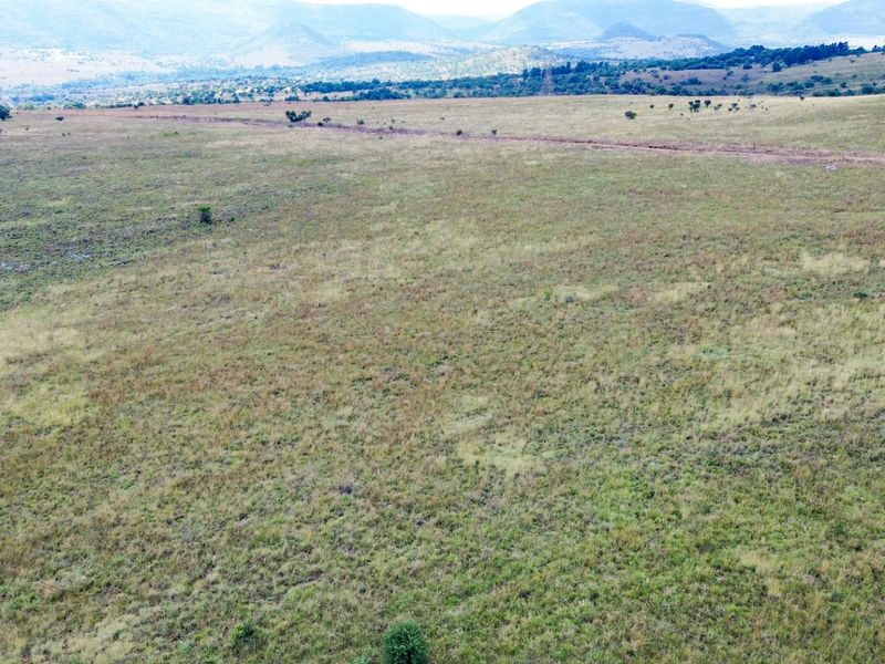 Glorious North-Facing Viewsite - 21 Hectares in the Crocodile Nature Reserve - Photo 5