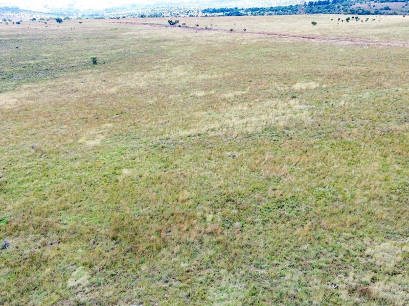 Glorious North-Facing Viewsite - 21 Hectares in the Crocodile Nature Reserve - Photo 4