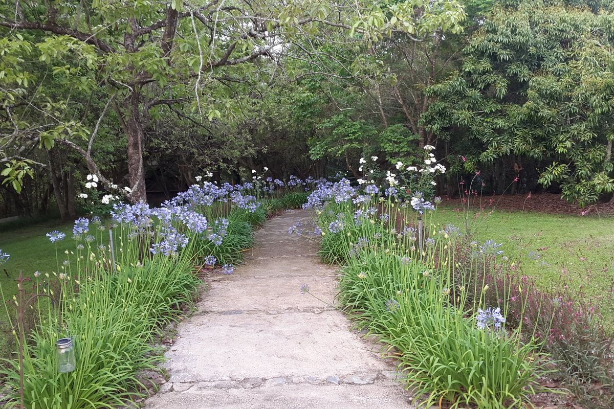 Beautiful  5-Star Tented Lodge, Spa and Restaurant on a 100 acre Macadamia Farm  in Hazyview - Photo 3