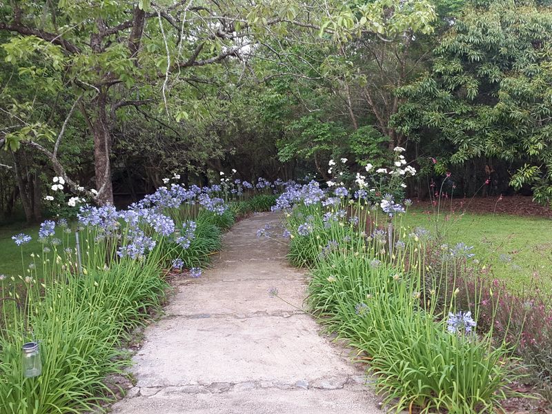 Beautiful  5-Star Tented Lodge, Spa and Restaurant on a 100 acre Macadamia Farm  in Hazyview - Photo 3