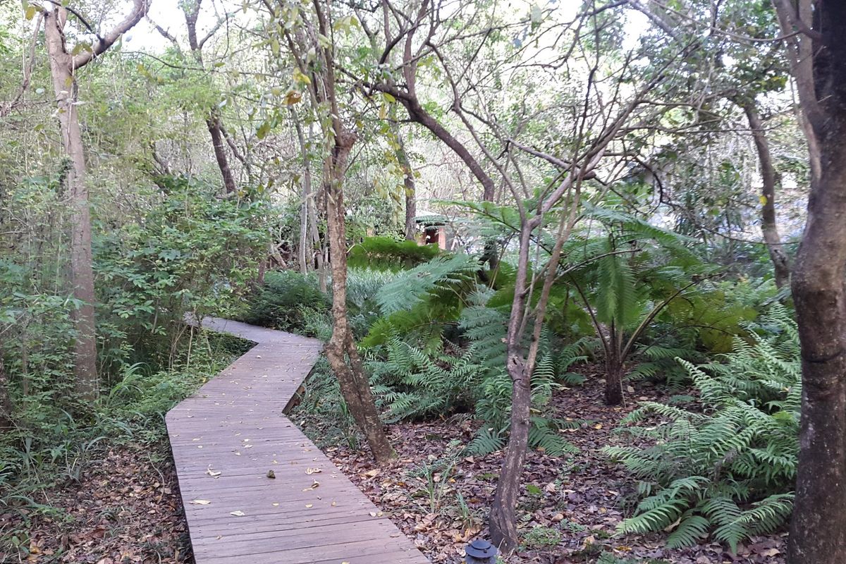 Beautiful  5-Star Tented Lodge, Spa and Restaurant on a 100 acre Macadamia Farm  in Hazyview - Photo 4